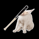 CABO / CatBonk