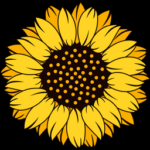SFO / Sunflower Finance