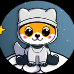 FLOKIMOON / FLOKIMOON NOW