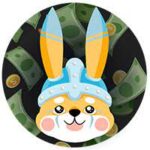 FLOKACHU / FLOKACHU TOKEN