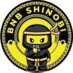 CHAKRA / BNB Shinobi