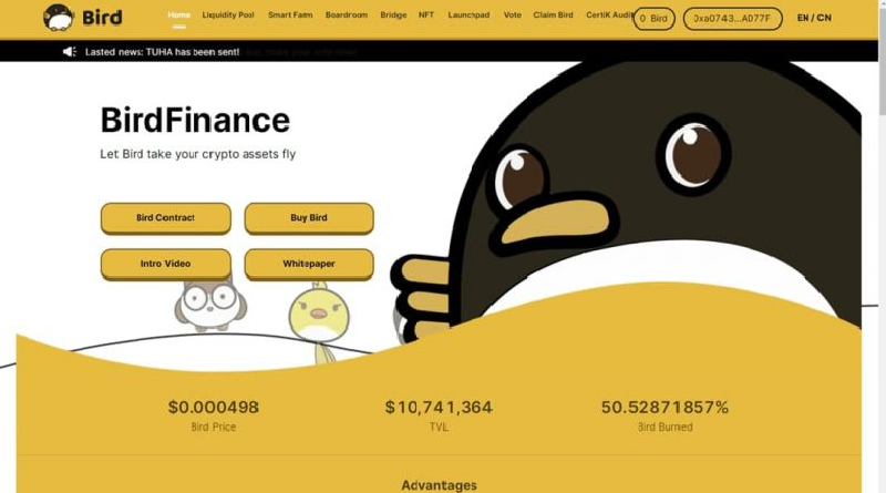 BIRD / Bird Finance 