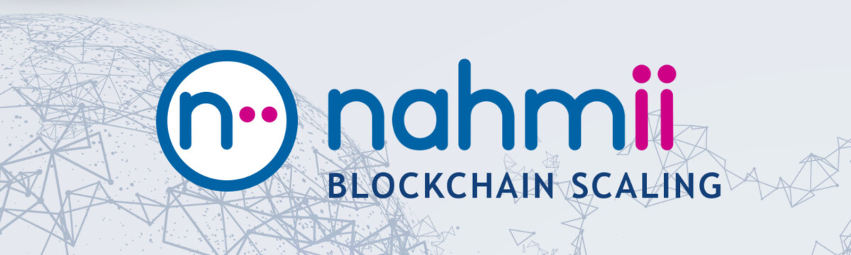  NII /Nahmii 
