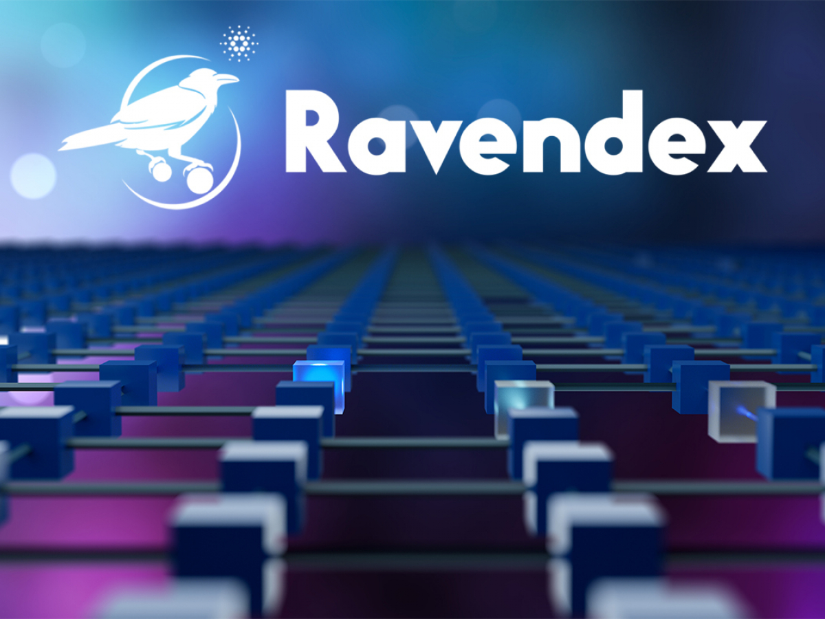 RAVE /Ravendex 
