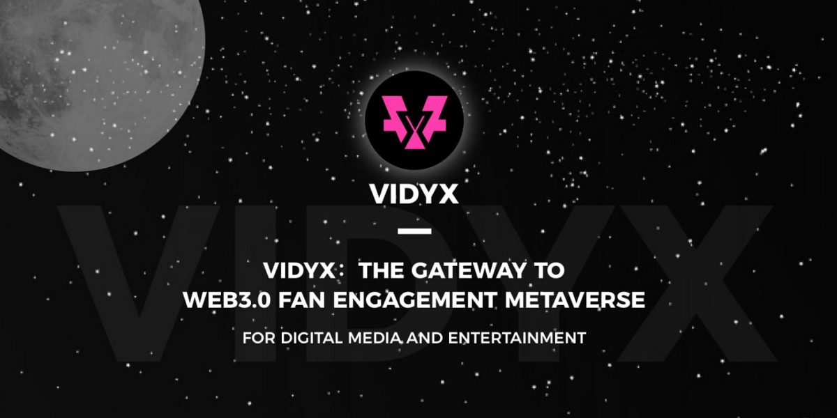  VIDYX /VidyX