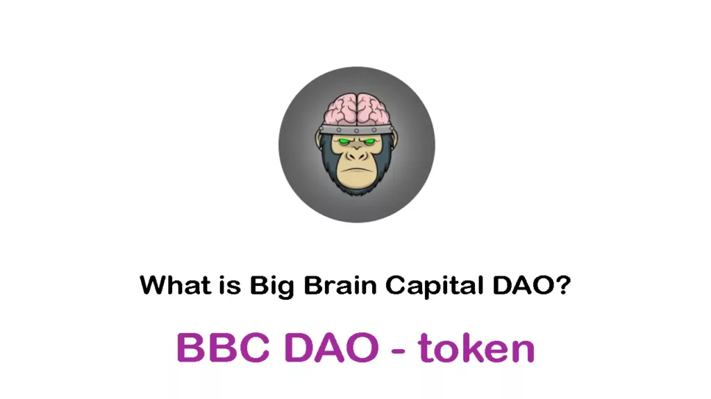 BBC DAO/Big Brain Capital DAO