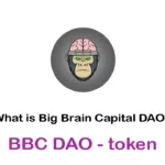 BBC DAO/Big Brain Capital DAO