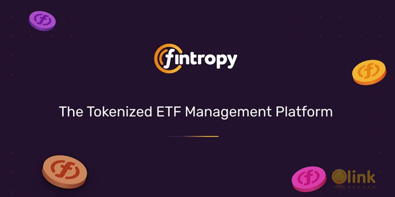  FINT /Fintropy
