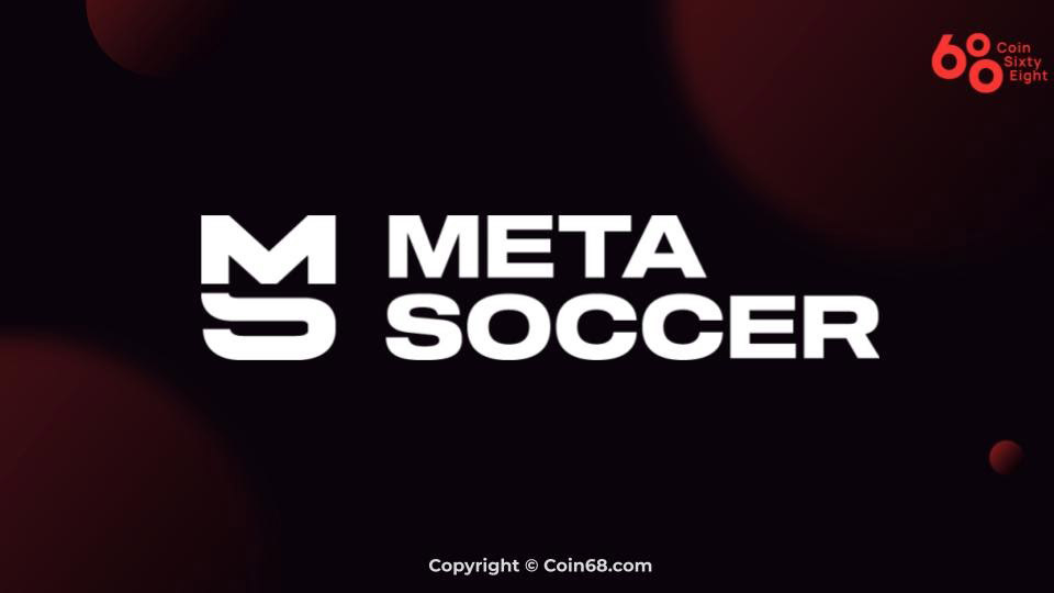 MSU /MetaSoccer 
