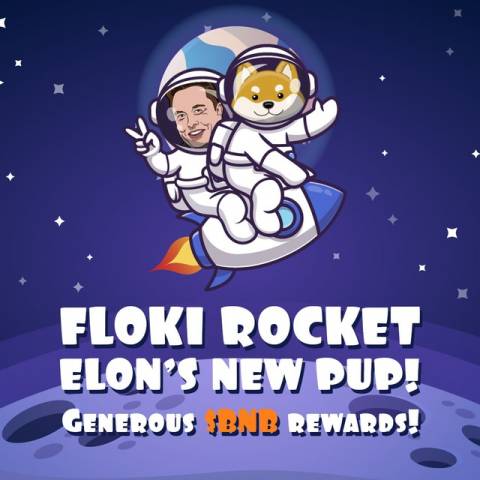 RLOKI / Floki Rocket