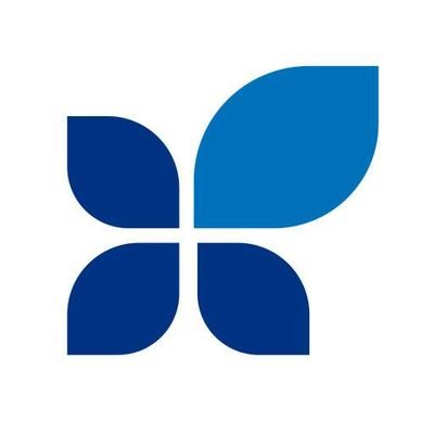 SNP/Synapse Network 