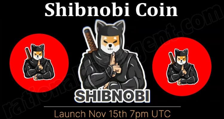 SHINJA /Shibnobi