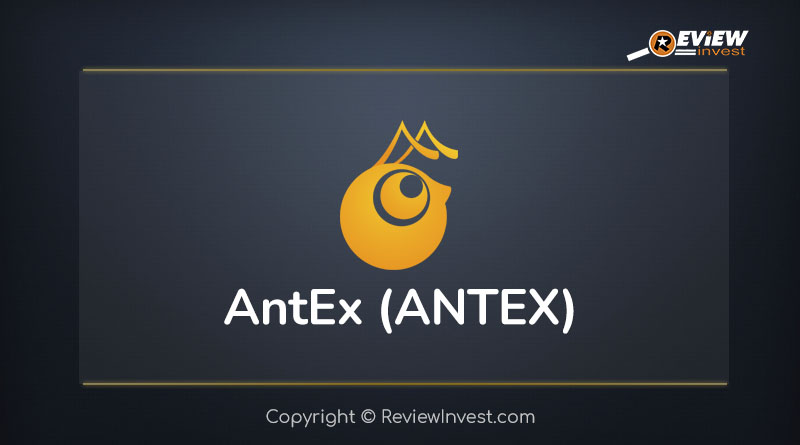 ANTEX /Antex 