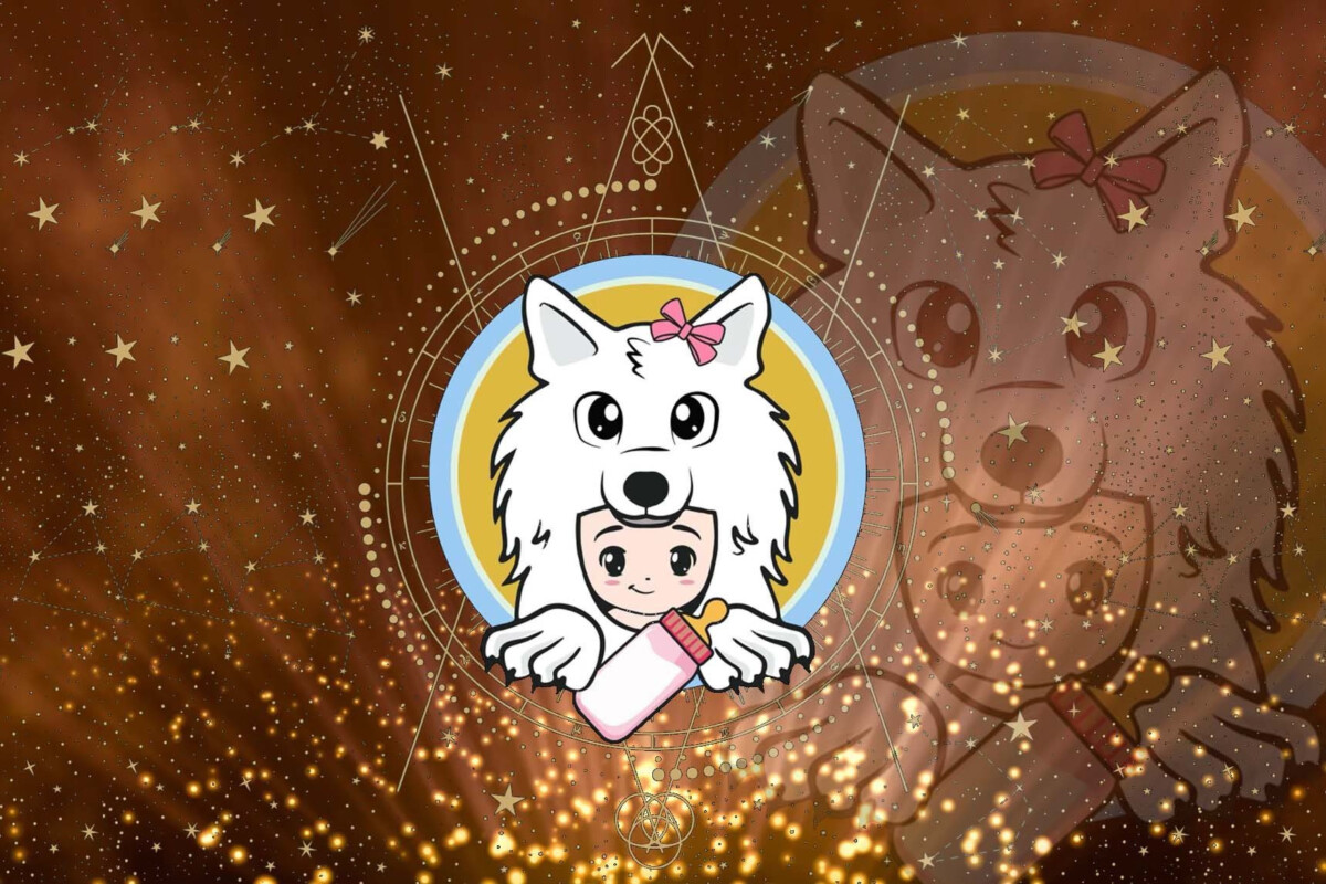 BABYSAITAMA /Baby Saitama Inu