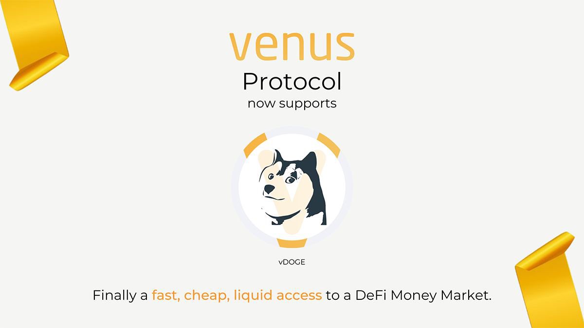 vDOGE / Venus Dogecoin 