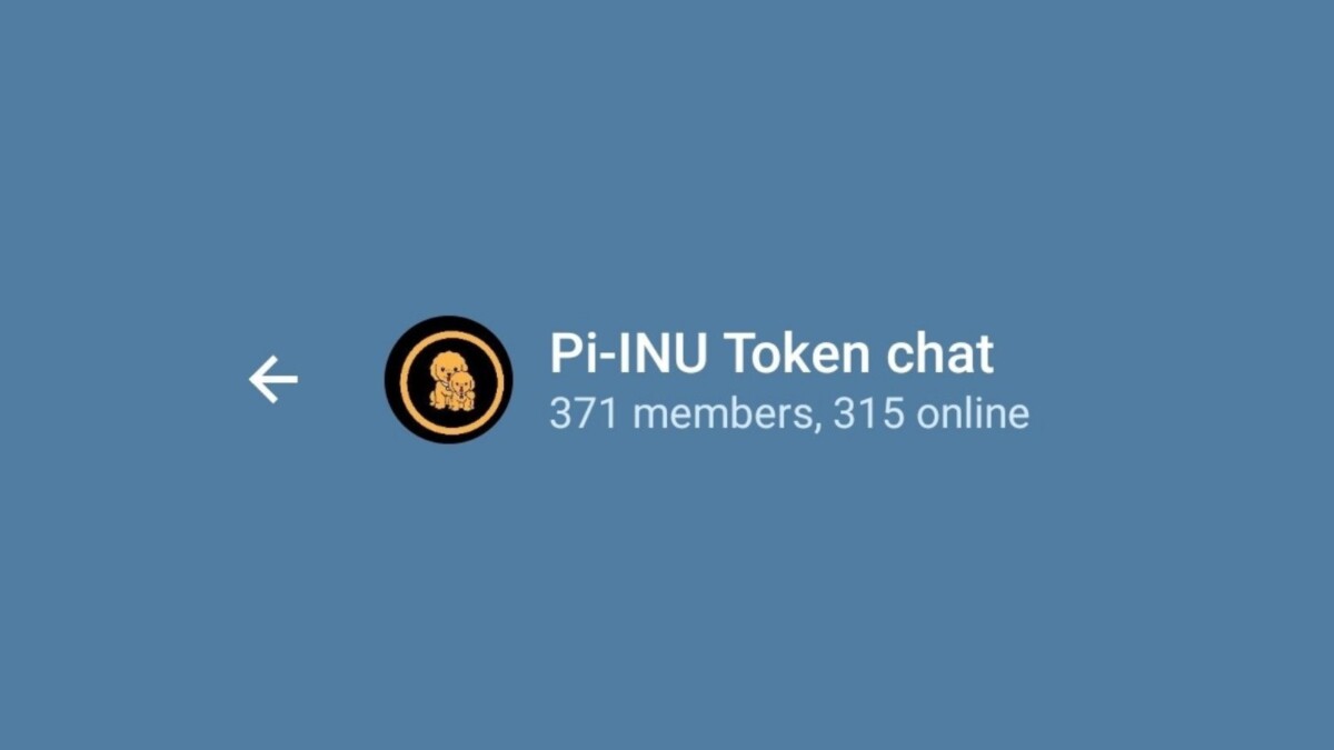 PINU / Pi INU 
