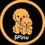 PINU / Pi INU