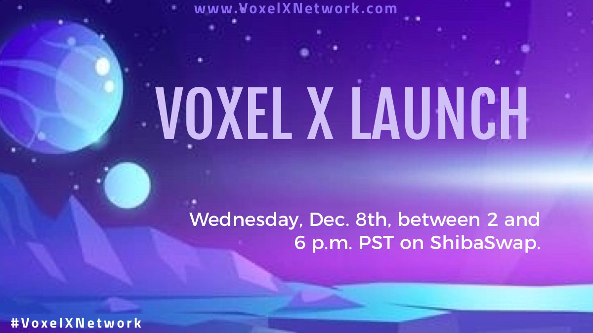  VXL /Voxel X Network