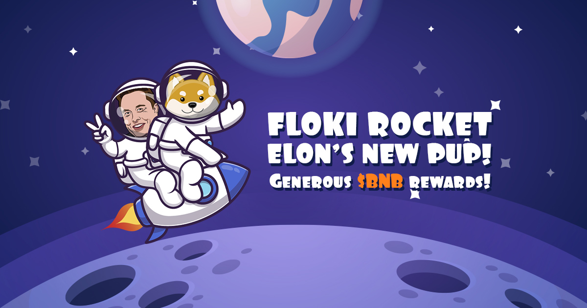RLOKI / Floki Rocket