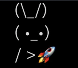 BunnyRocket/BunnyRocket