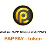 PAPPAY/PAPPAY