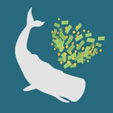  WOT /Moby Dick 
