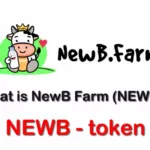 NEWB / NewB.Farm