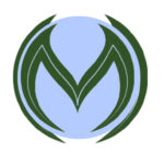 MSD /MoneydefiSwap