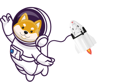 RLOKI / Floki Rocket