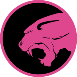 PINK /Pink Panther 