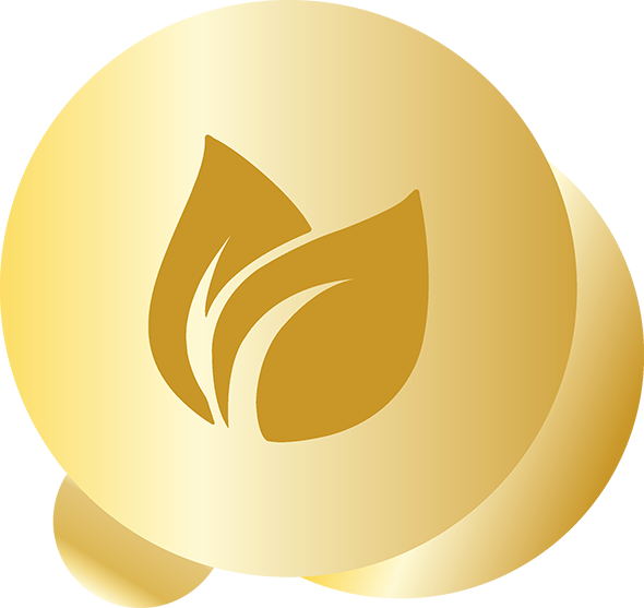EFX / Earnfinex