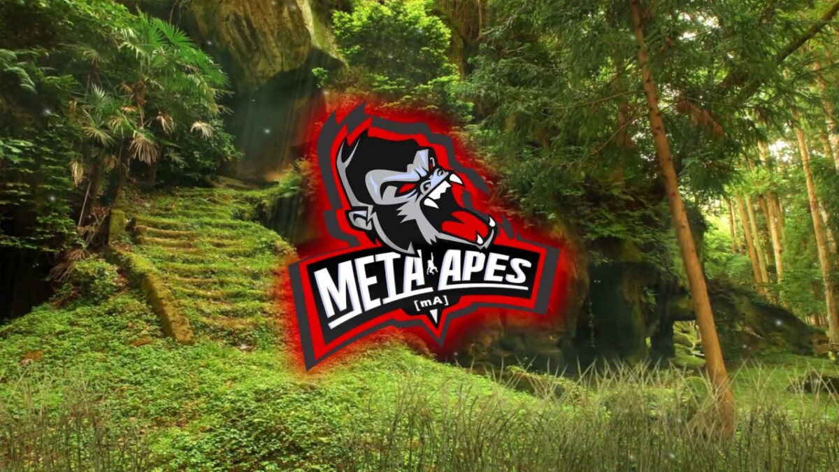 MAPES / Meta Apes