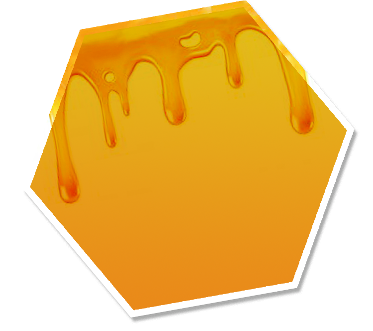 BEAR /HoneyFarm