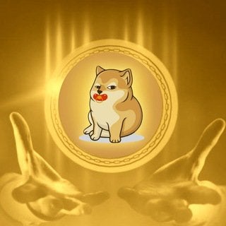 BCI / Baby Cheems Inu