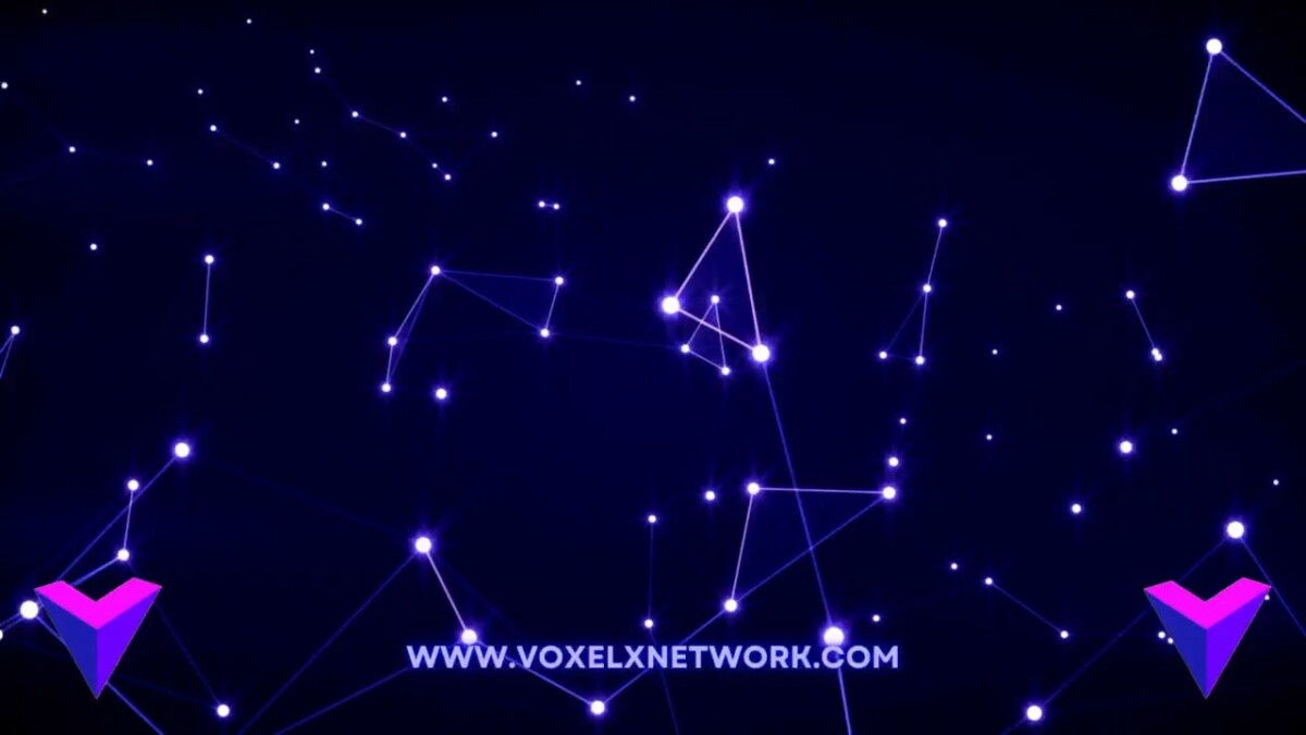  VXL /Voxel X Network