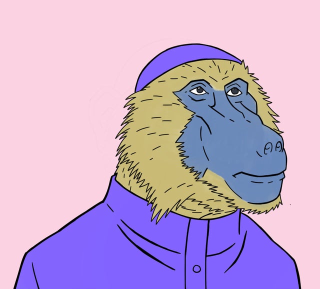 COAPE / Council of Apes
