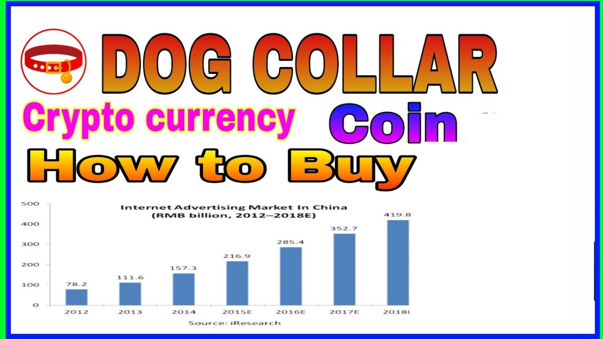COLLAR /Dog Collar