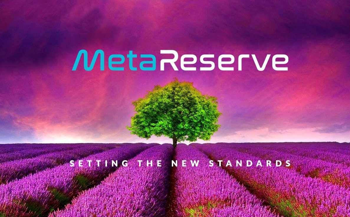 POWER /Meta Reserve Finance