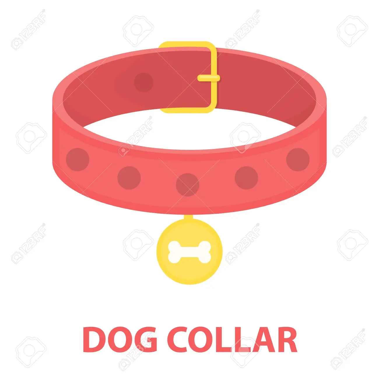 COLLAR /Dog Collar