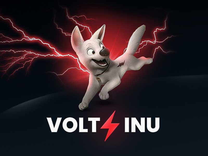  Volt /Volt Inu 