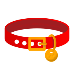 COLLAR /Dog Collar