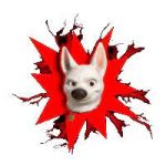 Volt /Volt Inu