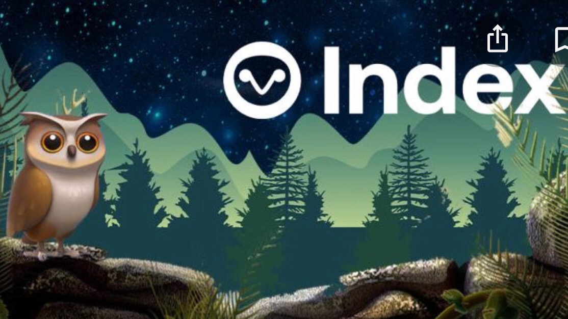 INDEX /Index Cooperative