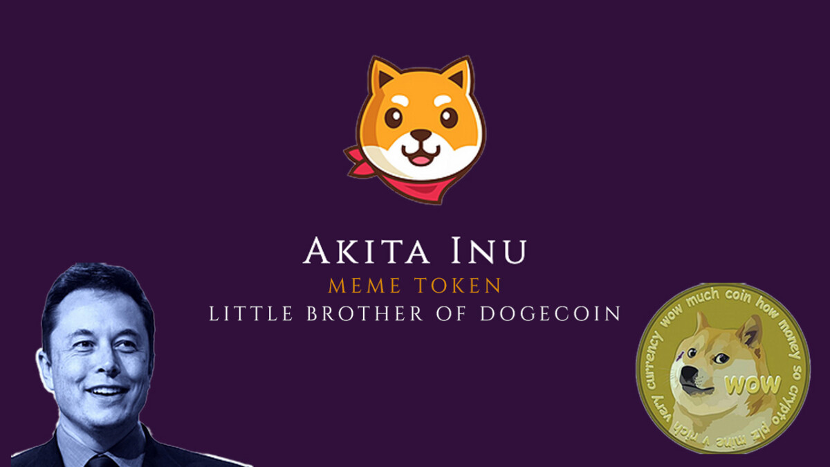  AKTA / Akita Inu