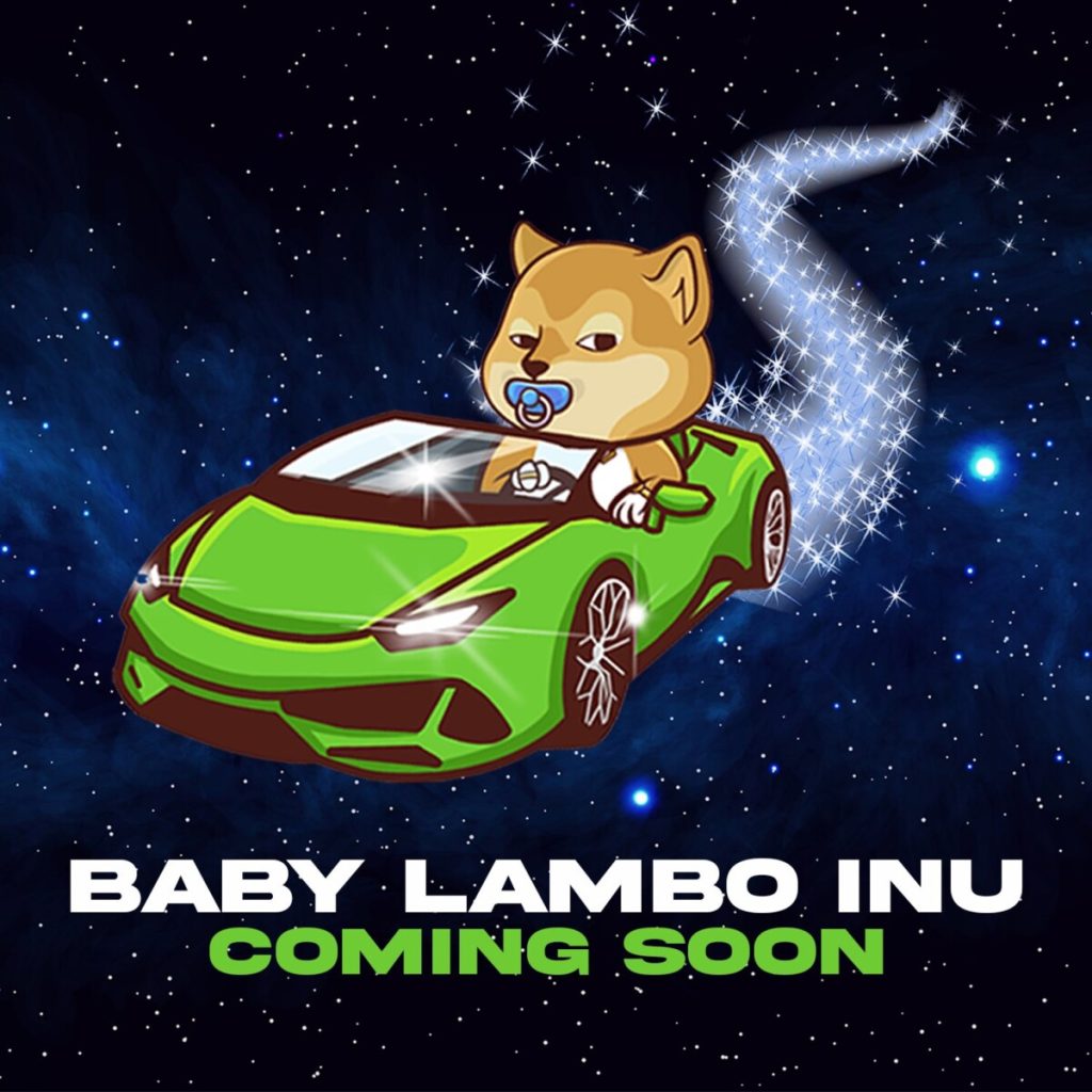 ما هي العملة الرقمية BLINU /Baby Lambo Inu مشروعها و معلومات عنها