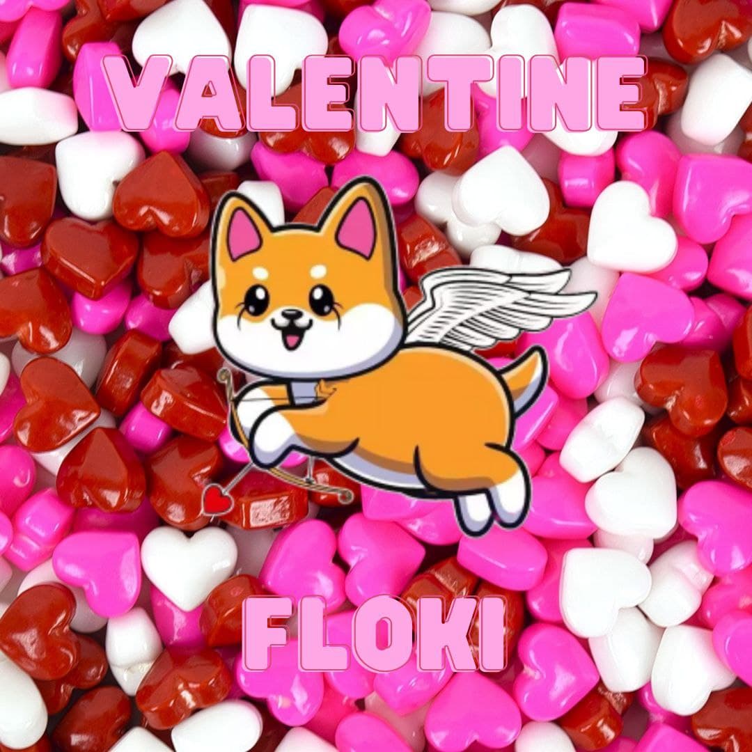  FLOV /Valentine Floki 