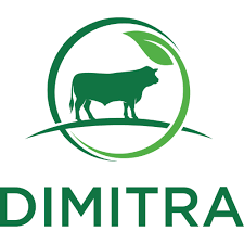 DMTR /Dimitra 