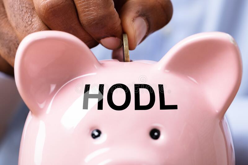  HFT /Hodl Finance