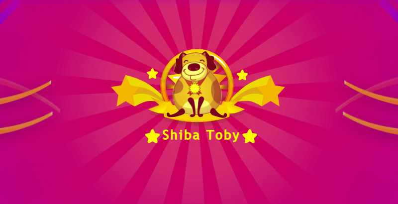 SHBT / Shiba toby  
