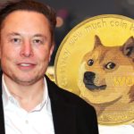 يكشف ايلون ماسك أنه سيتم قبول الدوجي كوين في Tesla